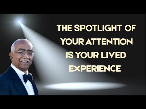 The_Spotlight_of_Your_Attention